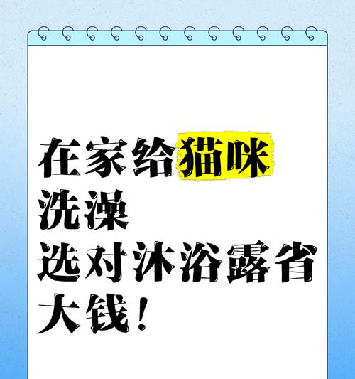 宠物店猫咪洗澡费用合理性调查（探究宠物店猫咪洗澡费用的标准及原因）