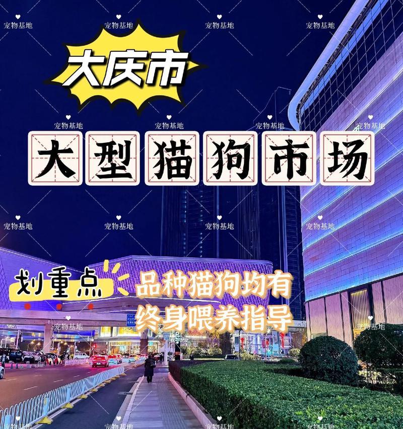 狗狗购买指南
