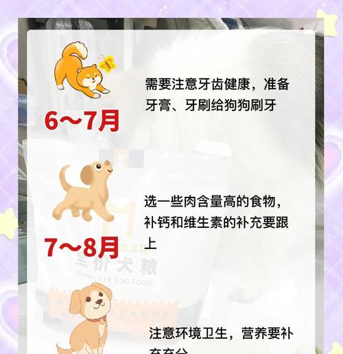小狗多久不喝奶会死？（探究小狗断奶后的生存能力与适宜时期）