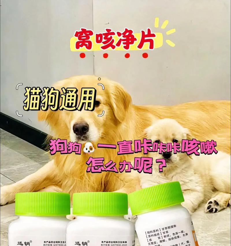 养狗费钱的重要性（养狗费钱的点在哪里？）