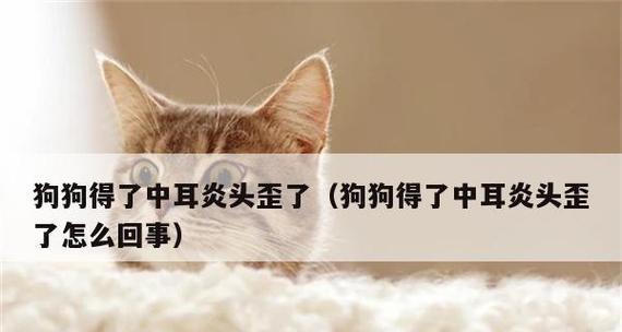 探讨狗中耳炎康复时间的关键因素（了解耳部清洁与治疗方法，缩短中耳炎康复时间）