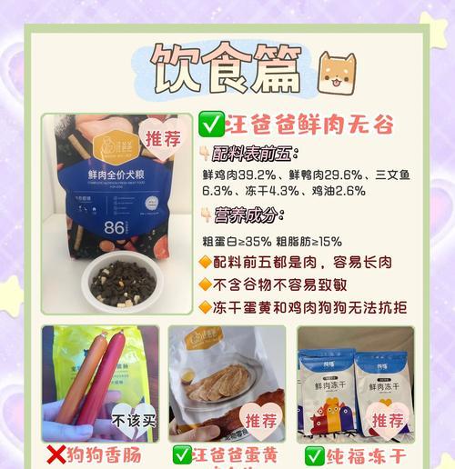 新手养狗必备用品清单大全（帮助你为新家庭成员准备所需的最佳用品）