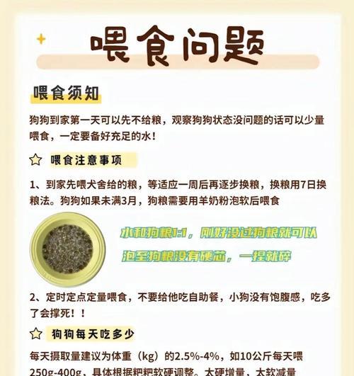 如何为幼犬、哺乳期和老年狗狗补充营养（关爱您的狗狗，让它健康成长）