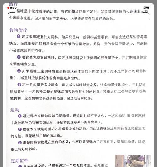 减肥指南（猫咪肥胖的原因及减肥方法探讨）