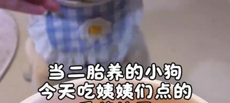 幼犬吃了西红柿该如何处理？（了解幼犬食物禁忌和应急处理方法）