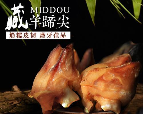 如何帮助泰迪加快出牙进程（泰迪出牙慢的原因及解决方法）