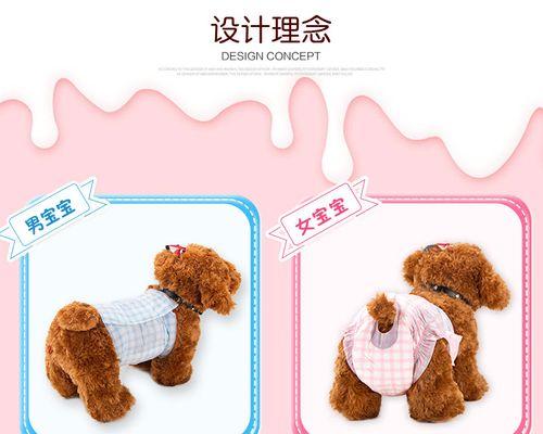 怎样应对泰迪的月经问题