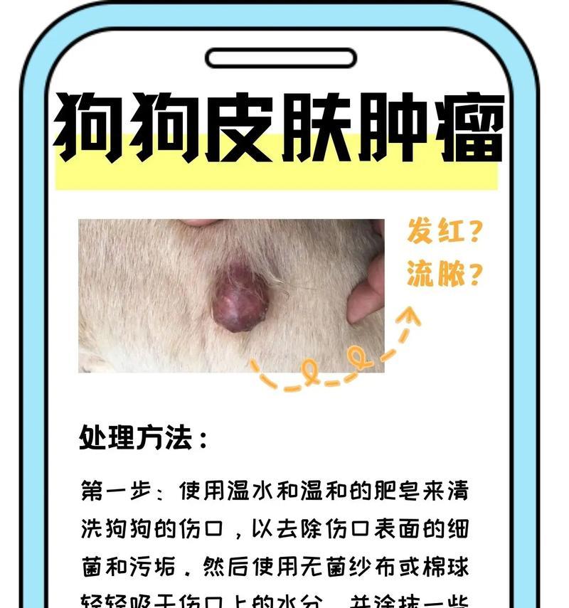 如何判断幼犬是否生病？（幼犬生病的迹象及常见疾病预防措施）