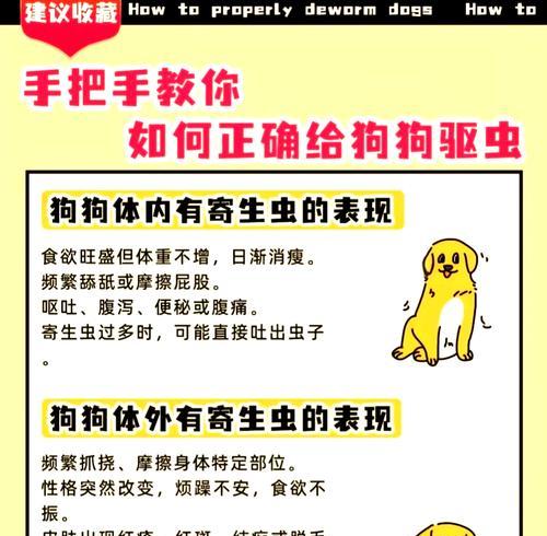 幼犬吃了虫子怎么办？（应急处理及预防措施，）