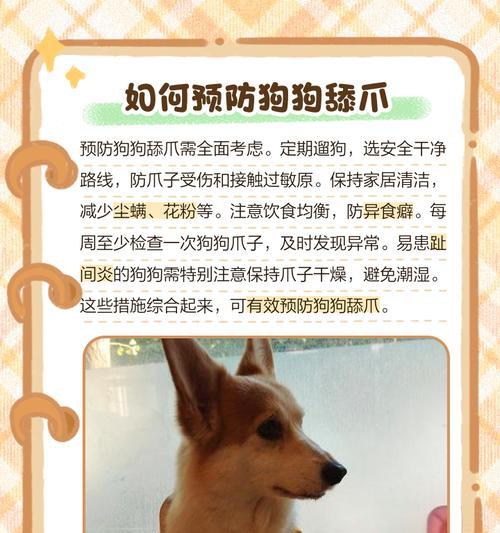 小狗出血的正确处理方法（如何止住小狗爪子出血的流血，让它迅速恢复健康）