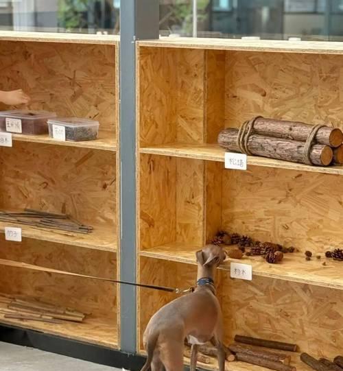 商场禁止携带小型狗的政策（狗狗无法陪伴购物是因为商场的安全和卫生考虑）