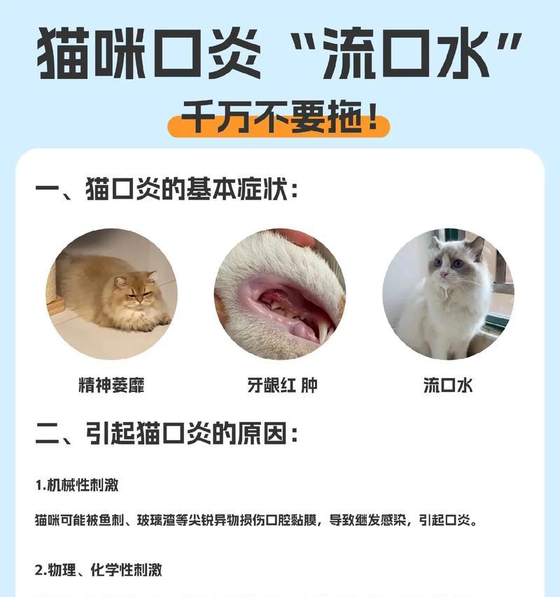 猫咪滴虫是否会传染人？（了解猫咪滴虫感染与人类健康的关系）