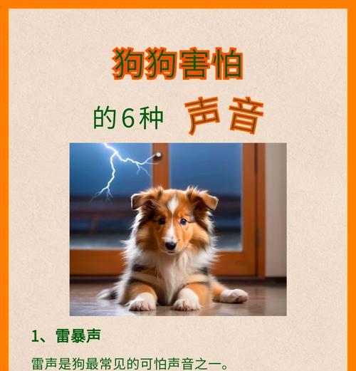 以吸引柯基狗叫声播放（如何用狗叫声吸引柯基狗的注意力）
