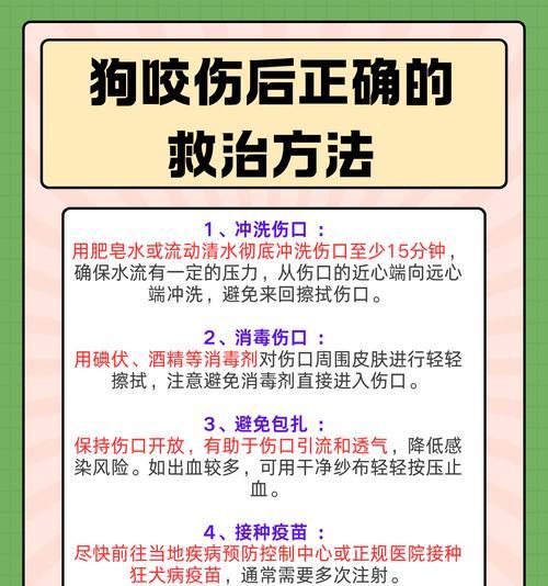 小狗被咬不动怎么办？（急救小狗被咬的步骤及预防措施）