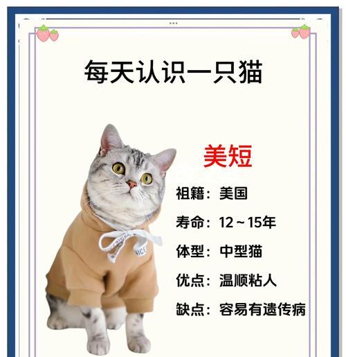如何正确喂养两个月大的美短猫咪（一起来了解美短猫咪的饮食需求吧！）