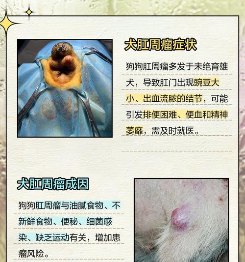 被狗咬肿了，该怎么办？（有效的应对措施，让伤口尽快康复。）