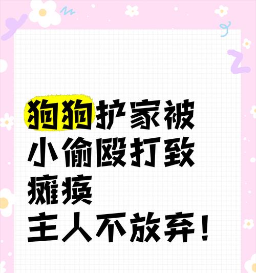 狗狗如何保护主人？（了解狗狗保护主人的方法与技巧）
