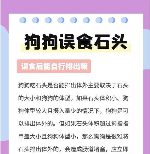 狗狗吃了土，会有什么影响？（了解狗狗吃土的原因和应对方法）
