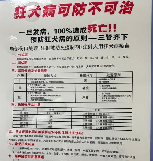 保护宠物健康，从狂犬疫苗开始（狗的狂犬疫苗注射，健康安全无忧）