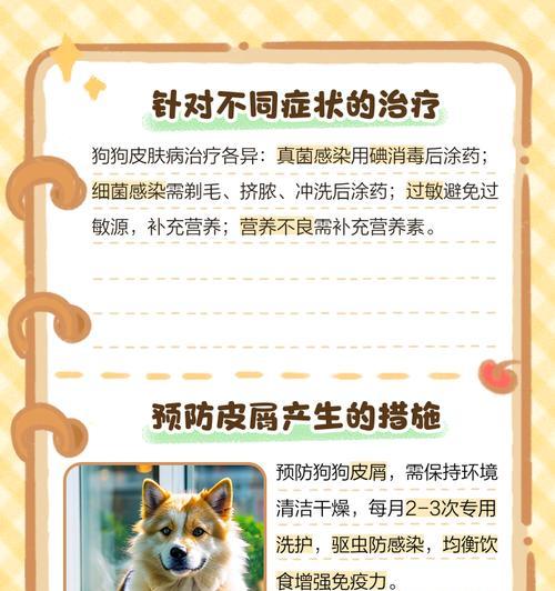 狗狗皮屑全攻略（揭秘皮屑增多的原因及有效应对策略）