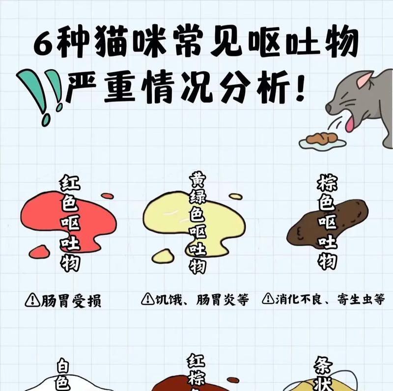 猫吐了后的缓解方法（保持饮食规律，避免恶化）