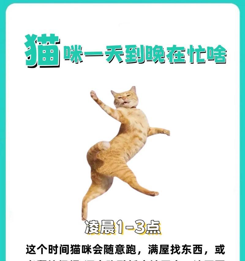 如何防止猫翻垃圾桶——一个干净整洁的家（简单方法让猫远离垃圾桶，主人省心烦恼）
