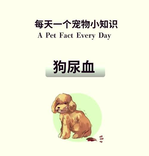 狗接种血清的影响及安全性研究（以狗打了血清后的反应和长期影响——探索治疗效果和安全性）