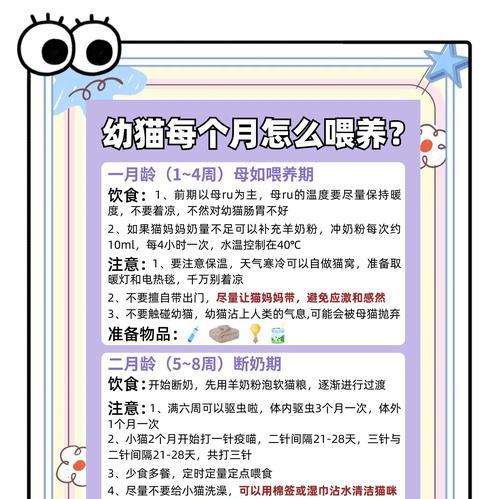 小猫先天发育不良的救助之道（发育不良猫咪的护理方法及治疗建议）