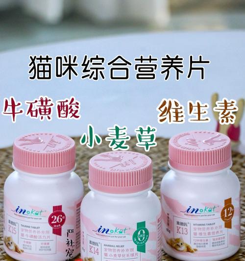 小猫如何补充维生素B？（满足宝贝猫猫健康成长的必需营养！）