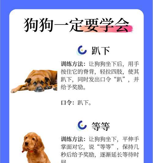 狗狗辅助立耳的时间周期（揭秘狗狗立耳的过程及时间预估）