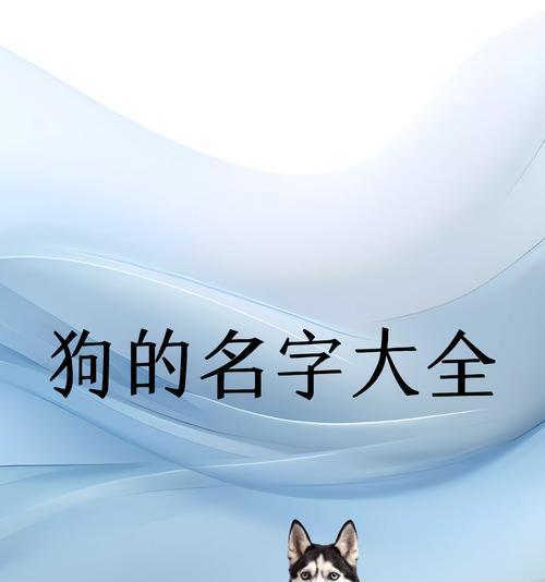 教你如何让狗狗记住自己的名字（培养狗狗对名字的反应力，提高召唤效果）