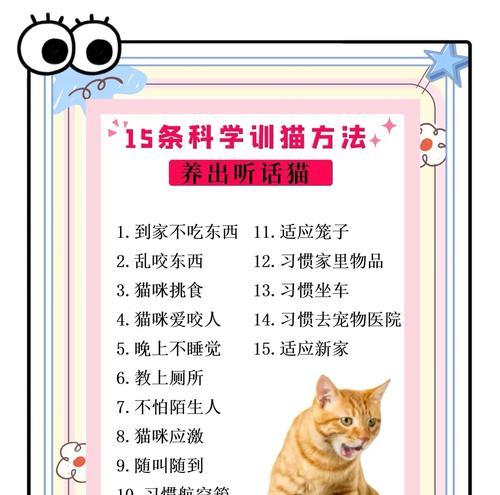如何为瘦猫补充营养（解决瘦猫问题的有效方法）