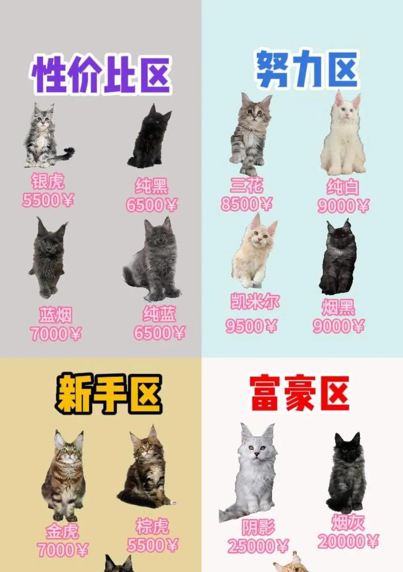 缅因猫一胎生几只？（揭秘缅因猫繁殖能力的奥秘）